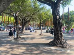 -观澜湖生态运动公社
