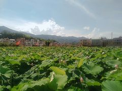 -毛泽东才溪乡调查旧址景区