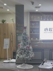 -心联形象设计·流星染