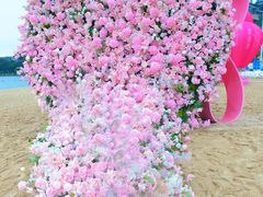 -小梅沙海滨乐园