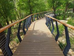 -白水寺森林公园