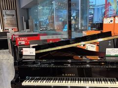 -柏斯音乐艺术中心·钢琴·吉他(世纪金源店)