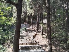 -佛慧山