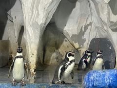 -太平洋海底世界