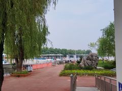 -白洋淀景区