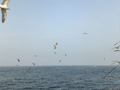 -星海广场