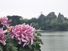 -中国翰园碑林