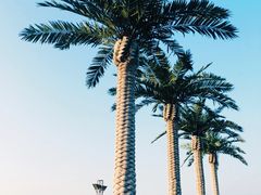 -湖州太湖旅游度假区-月亮广场