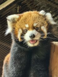 -Zoolung Zoolung动物主题公园(海信广场店)