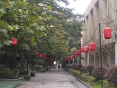 -云碧峰国家森林公园