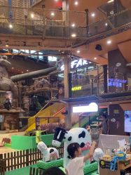 -卡通尼·Safari非洲探索乐园·生日会(金桥国际商业广场店)