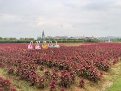 -美的鹭湖森林度假区