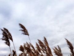 -铜川市金锁关石林