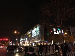 -上海颛桥万达广场