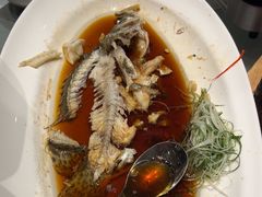 -沪碟·精菜坊(闵行店)