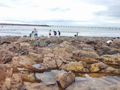 -青岛第二海水浴场