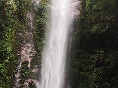 -莫里热带雨林景区