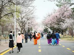 -吉林大学(南岭校区)