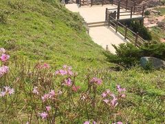 -舟山嵊泗列岛风景名胜区