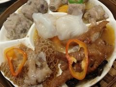 -新兴·金羊座·粤菜点心(乐峰店)