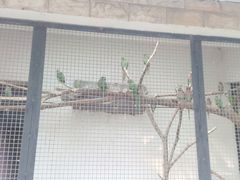 android_upload_pic-石家庄市动物园