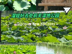 -前关湿地公园