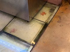 -虾乐园龙虾·夜宵(松江店)