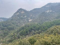 -沂蒙山旅游区云蒙景区(蒙山国家森林公园)