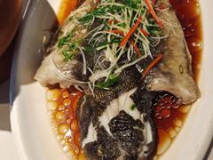 广式蒸白条-春暖花开(西溪店)