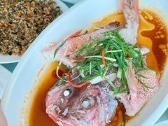 -众味海鲜大排档·活海鲜·潮汕味(南澳店)