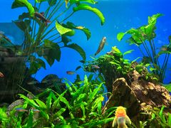 -太平洋海底世界