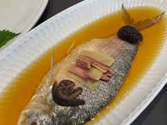 -望乡楼上海菜(日月光店)