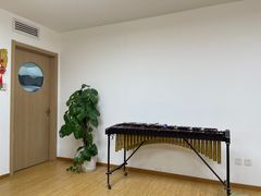 -音歆国艺馆·民乐培训(双榆树店)