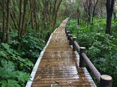 -新江湾城公园