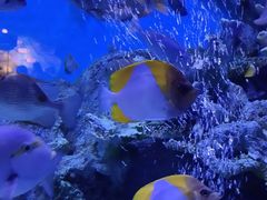 -正佳极地海洋世界