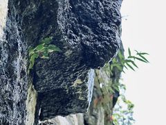 -蝶舞清江·恩施地心谷景区