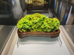 -安徽省地质博物馆