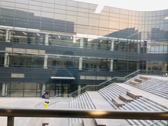 -首都医科大学附属北京天坛医院