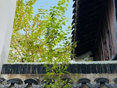 -月栖华明-云间草堂清茶馆(泗泾古镇店)