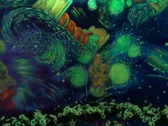 -天津梵高星空艺术馆(天河城旗舰店)