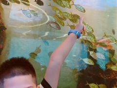 -瑞德姆美人鱼海底演艺主题餐厅(亚龙湾店)