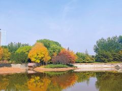 -大望京公园