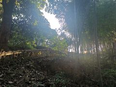-杨家堂村