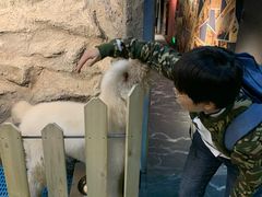 -MOJO密室逃脱(中街旗舰店)