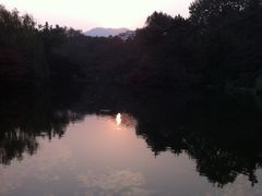 -西湖外事游船(花港观鱼码头)