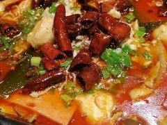 毛血旺-三俞竹苑(红旗街万达店)