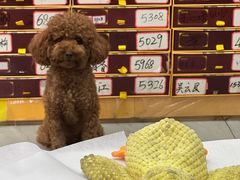 -郑远元专业修脚房(潘水路店)