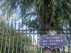 -长春农博园