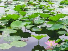 -承德避暑山庄景区