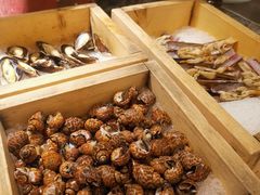 -万德诺富特酒店·自助餐厅(万德大厦店)